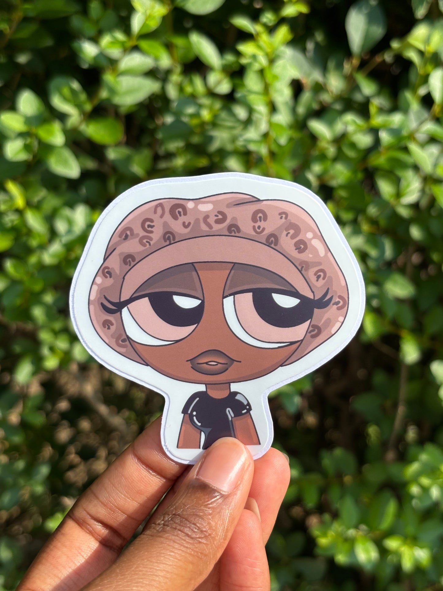 PPG Bonnet Sticker