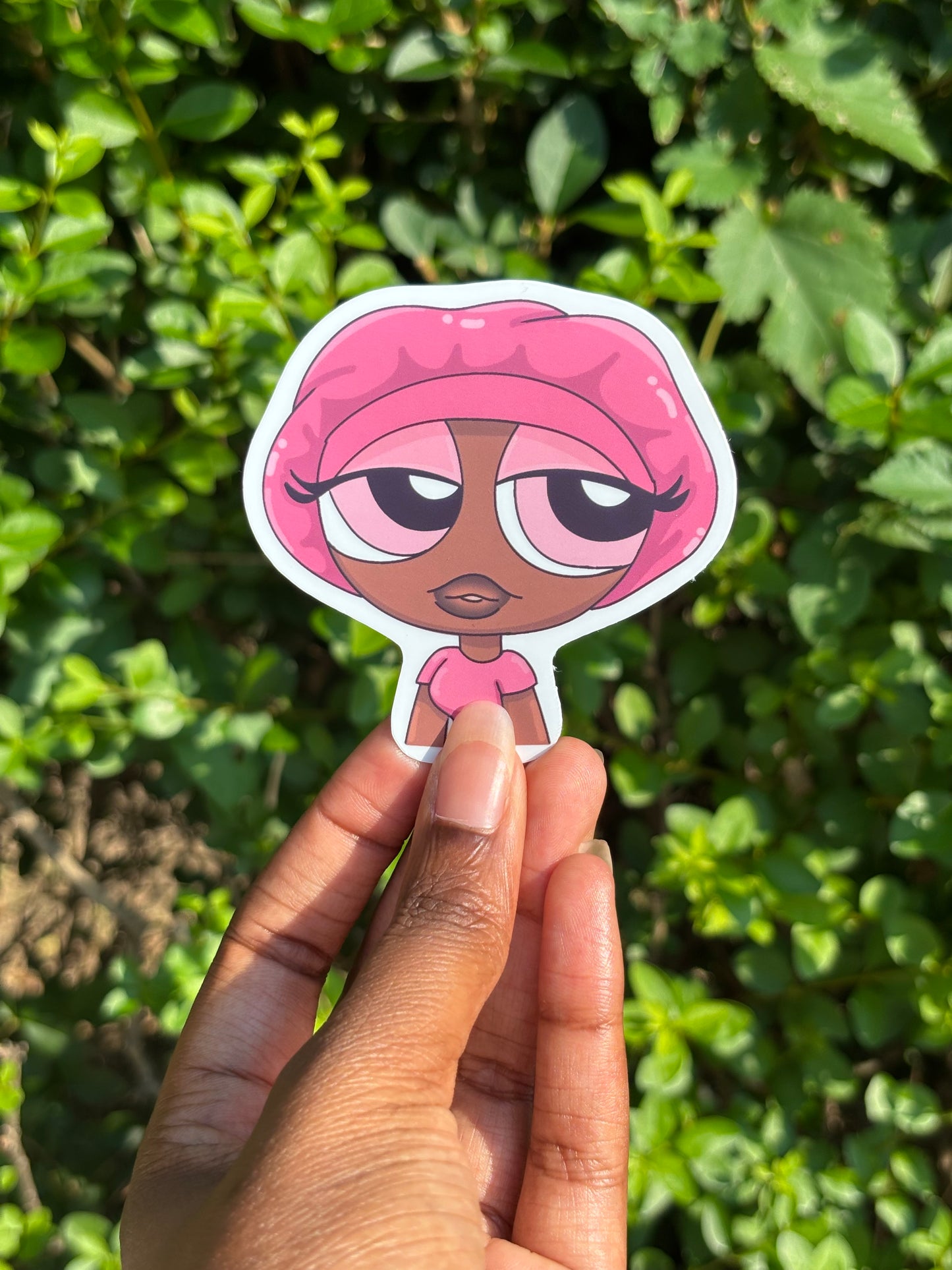 PPG Bonnet Sticker